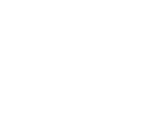 Renee Jackson Insurance - Logo 800 White